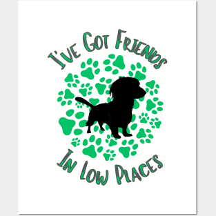 I've Got Friends In Low Places - Dachshund Posters and Art